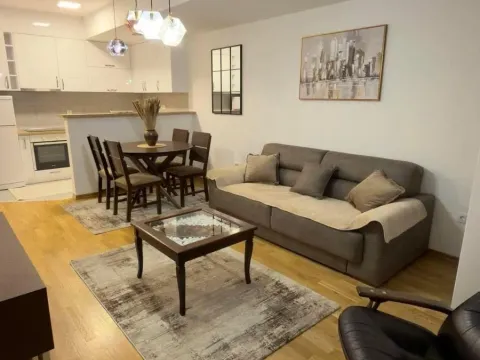 Izdavanje, jednosoban stan, 45m², Ljubović, Podgorica - image 1