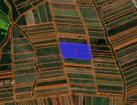 Prodaja, plac, 4100m², Kozilo, Vlasotince - image 4