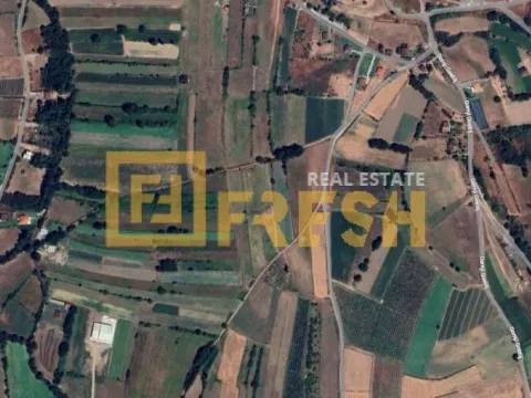 Prodaja, plac, 2600m², Zeta, Podgorica - image 1