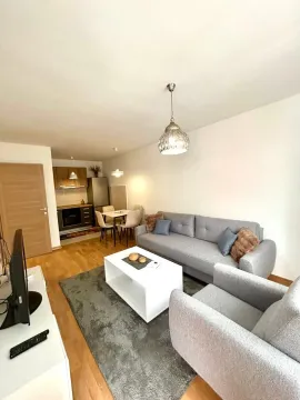Rent, one bedroom apartment, 45m², Stari Aerodrom, Podgorica - image 1