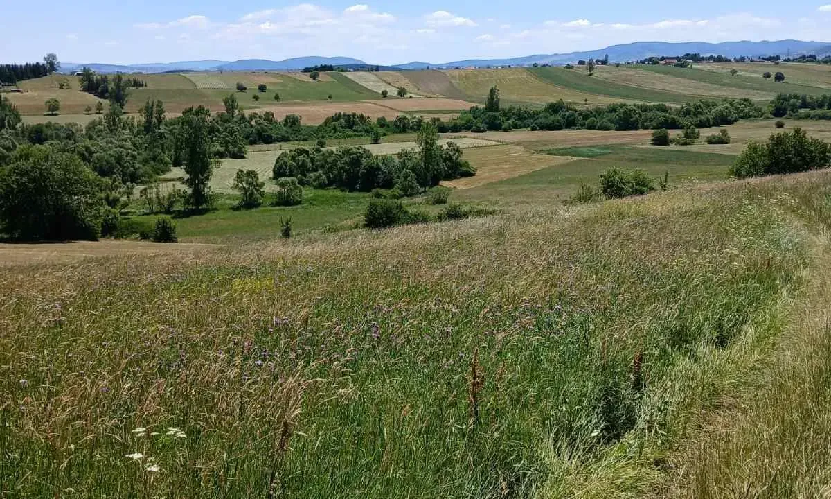 Sale, land lot, 150m², Novi Pazar, Srbija