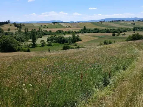 Zemljište in Novi Pazar