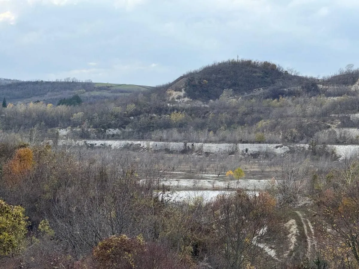 Prodaja, plac, 24207m², Beočić, Rekovac