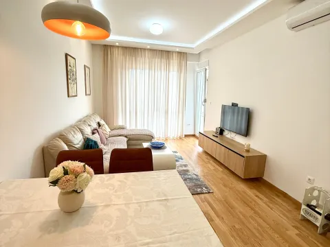 Rent, one bedroom apartment, 45m², Zabjelo, Podgorica - image 1