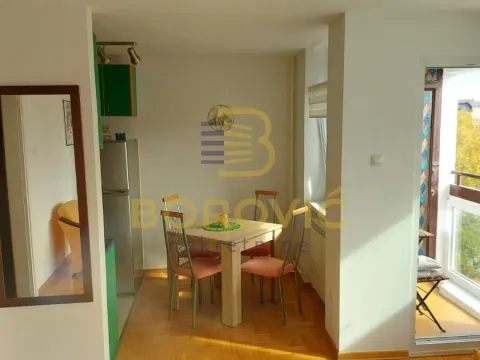Izdavanje, dvosoban stan, 56m², Novi Beograd Blok 45, Novi Beograd Sve Podlokacije - image 14