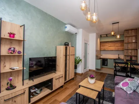 Izdavanje, jednosoban stan, 50m², Tološka šuma, Podgorica - image 4