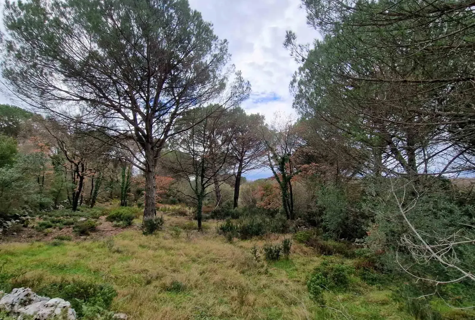 Prodaja, plac, 1150m², Zagora, Kotor