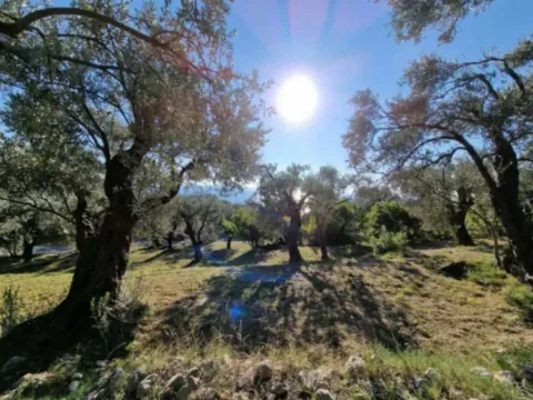 Sale, land lot, 1700m², Reževići, Budva - image 2