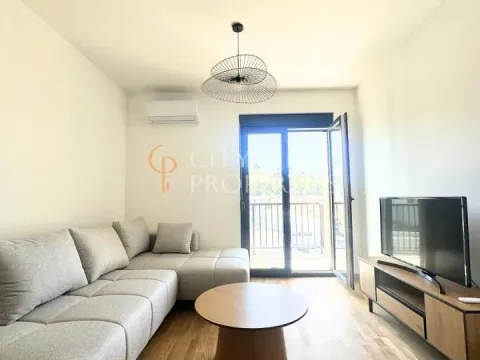 Izdavanje, stan, 40m², Zabjelo, Podgorica - image 1