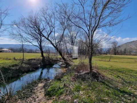 Prodaja, plac, 12000m², Bandići, Danilovgrad - image 5