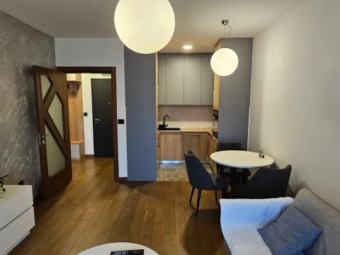 Izdavanje, jednosoban stan, 48m², Ljubović, Podgorica - image 5
