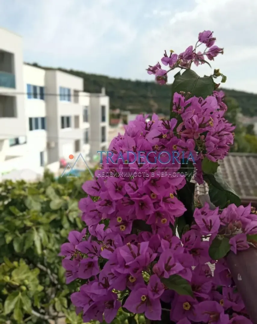 Prodaja, kuća, 199m², Utjeha, Bar
