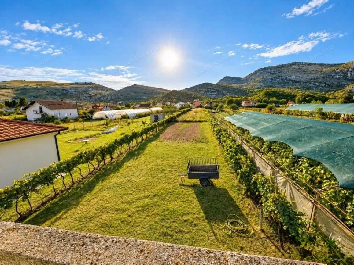 Pogled na dvorište i vinograd ispred kuće.