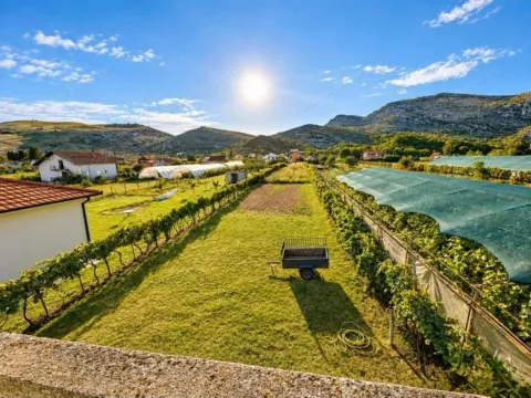 Pogled na dvorište i vinograd ispred kuće. - image 15