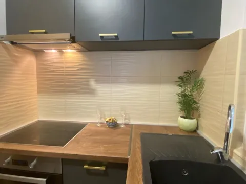 Izdavanje, jednosoban stan, 50m², Kava, Tivat - image 7