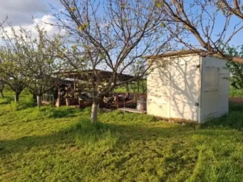 Prodaja, plac, 11510m², Kikinda, Srbija - image 5