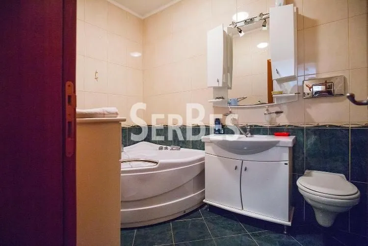 Sale, house, 300m², Betanija, Novi Sad Sve Podlokacije