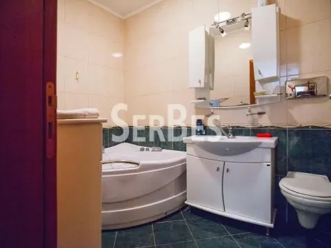 Prodaja, kuća, 300m², Betanija, Novi Sad Sve Podlokacije - image 7