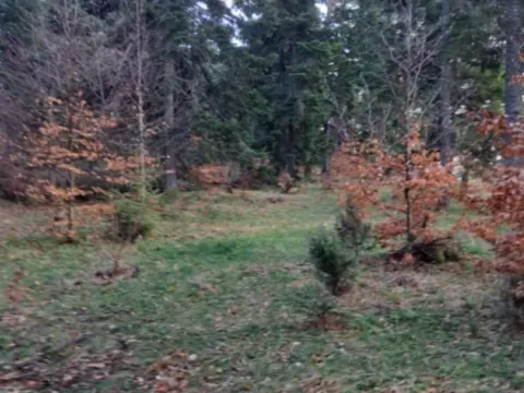 Sale, land lot, 10500m², Stublo, Čajetina - image 11