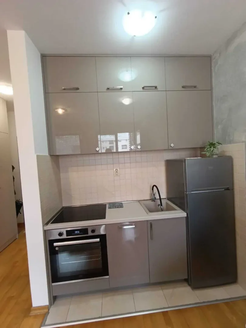 Small kitchen with high-gloss cabinets and built-in appliances.