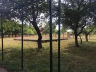 Prodaja, kuća, 49m², Obrež, Pećinci - image 2