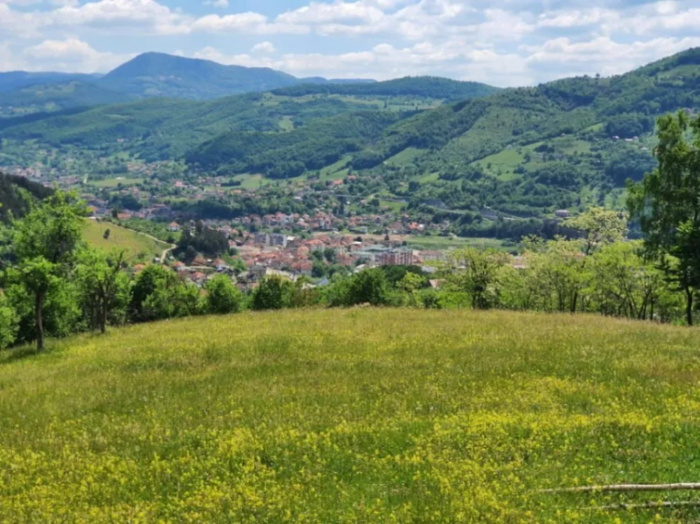 Sale, land lot, 44000m², Rasadnik, Bijelo Polje