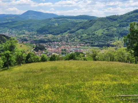 Sale, land lot, 44000m², Rasadnik, Bijelo Polje