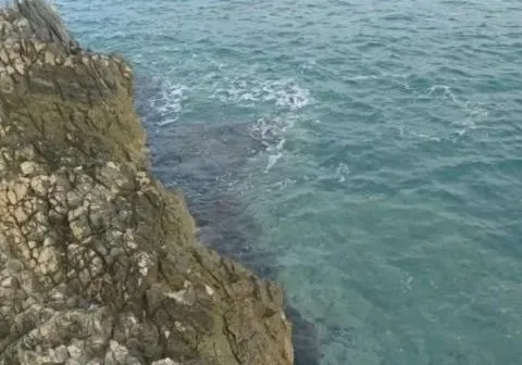 Prodaja, plac, 2000m², Bar, Crna Gora - image 7