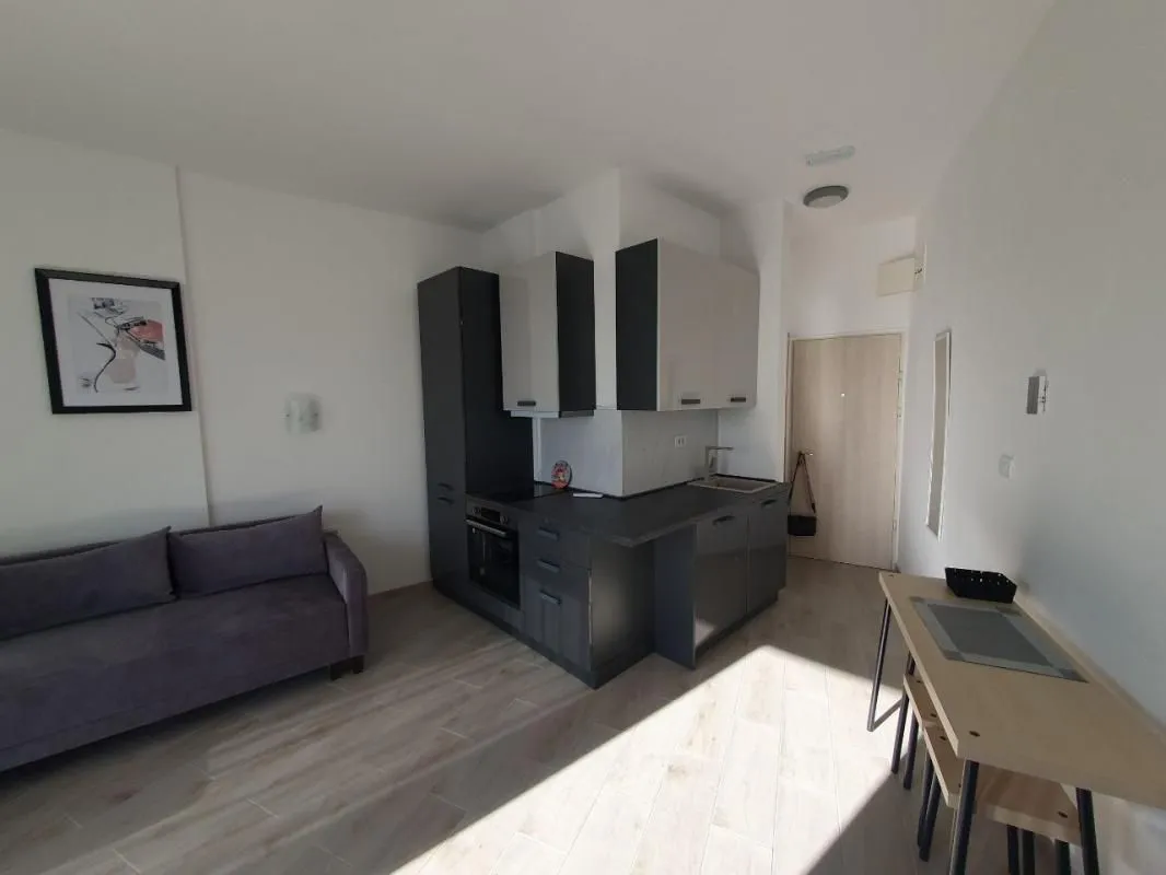 Compact kitchen with dark cabinets connected to the living area.