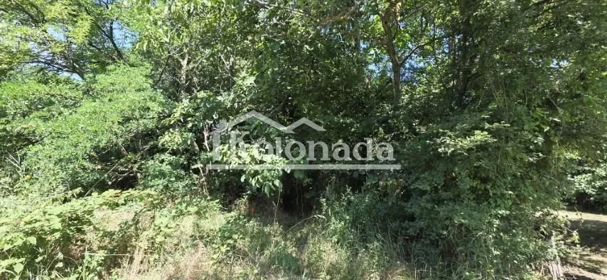 Prodaja, plac, 2300m², Parcani, Sopot