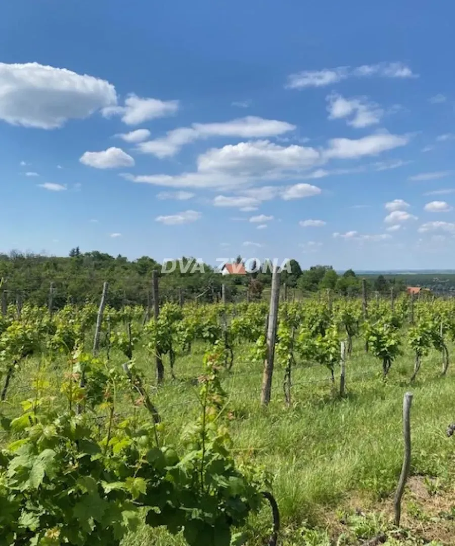 Prodaja, ugostiteljski objekat, 40m², Novi Slankamen, Inđija