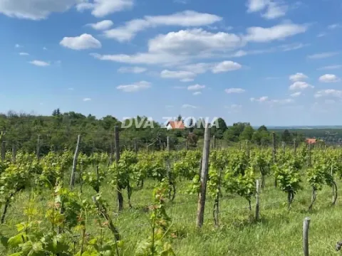 Prodaja, ugostiteljski objekat, 40m², Novi Slankamen, Inđija - image 21