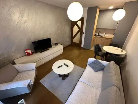 Rent, one bedroom apartment, 48m², Ljubović, Podgorica - image 4