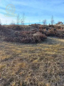 Pogled na zemljište sa travnatom površinom i niskim rastinjem. - image 4