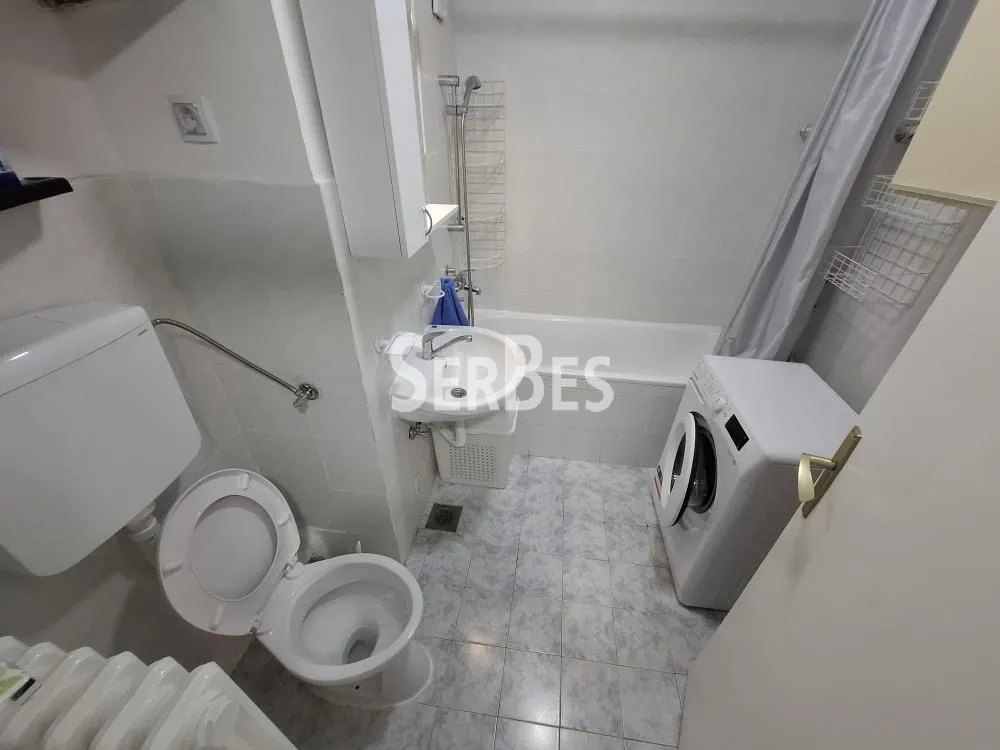 Izdavanje, jednosoban stan, 45m², Novo naselje, Novi Sad