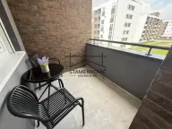 Izdavanje, jednosoban stan, 42m², Avijatičarsko naselje, Novi Sad Sve Podlokacije - image 10