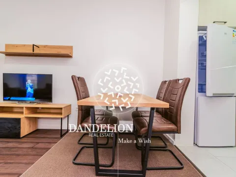 Izdavanje, jednosoban stan, 46m², Vezirov Most, Podgorica - image 4