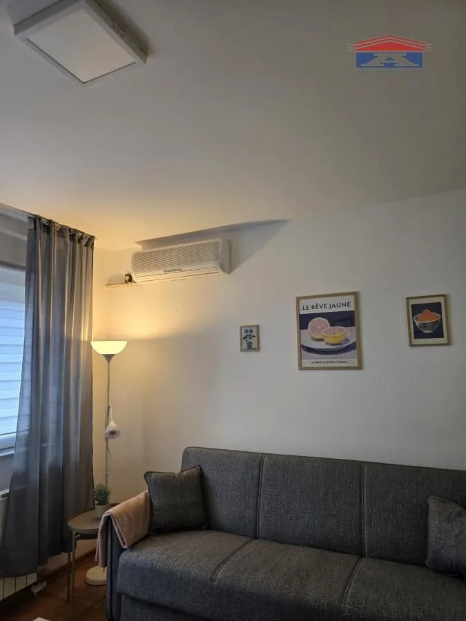 Izdavanje, garsonjera, 30m², Cara Dušana, Novi Sad Sve Podlokacije