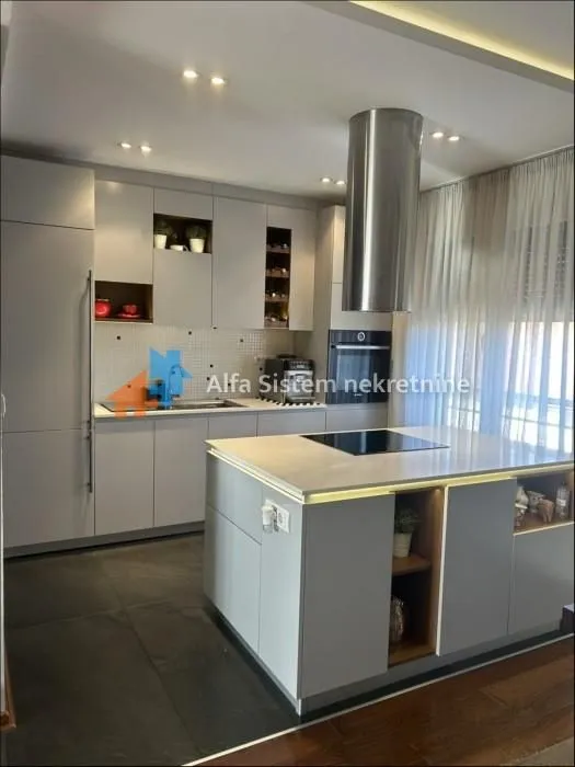 Izdavanje, stan, 107m², Denkova Basta, Zvezdara Sve Podlokacije