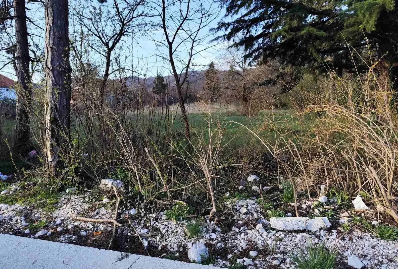 Prodaja, plac, 14290m², Cetinje, Crna Gora