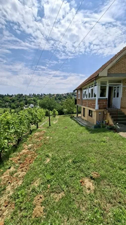 Prodaja, plac, 3000m², Bocke, Petrovaradin