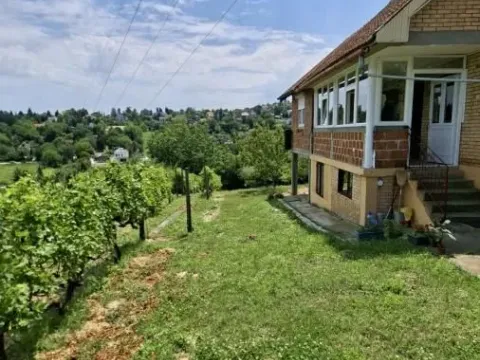 Prodaja, plac, 3000m², Bocke, Petrovaradin - image 8