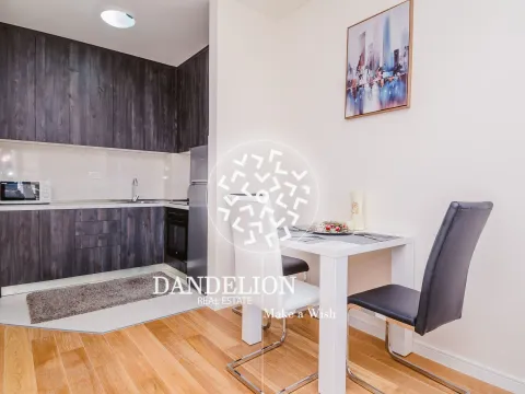 Izdavanje, jednosoban stan, 40m², Central Point, Podgorica - image 2