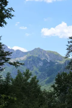Prodaja, plac, 45000m², Gornje Lipovo, Kolašin - image 11