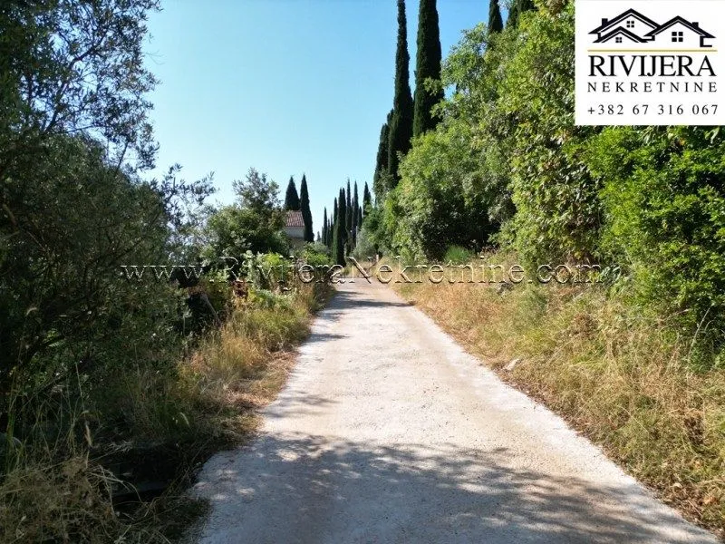 Prodaja, plac, 9401m², Žvinje, Herceg Novi