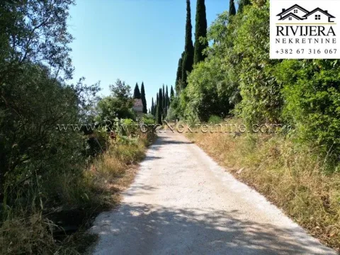 Sale, land lot, 9393m², Žvinje, Herceg Novi - image 2