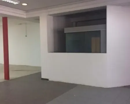 Izdavanje, poslovni prostor, 705m², Zemun Gornji Grad, Zemun Sve Podlokacije - image 2