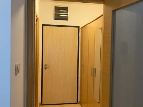 Izdavanje, garsonjera, 25m², Pobrežje, Podgorica - image 5