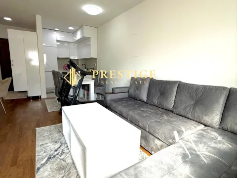 Izdavanje, jednosoban stan, 47m², Stari Aerodrom, Podgorica - image 3