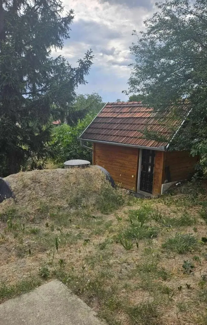 Manja drvena vikendica okružena zelenilom i drvećem.